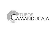 logo_dibase_camanducaia